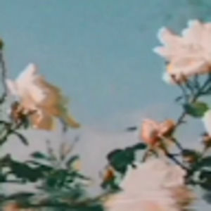 Meet your Posher, Marlena